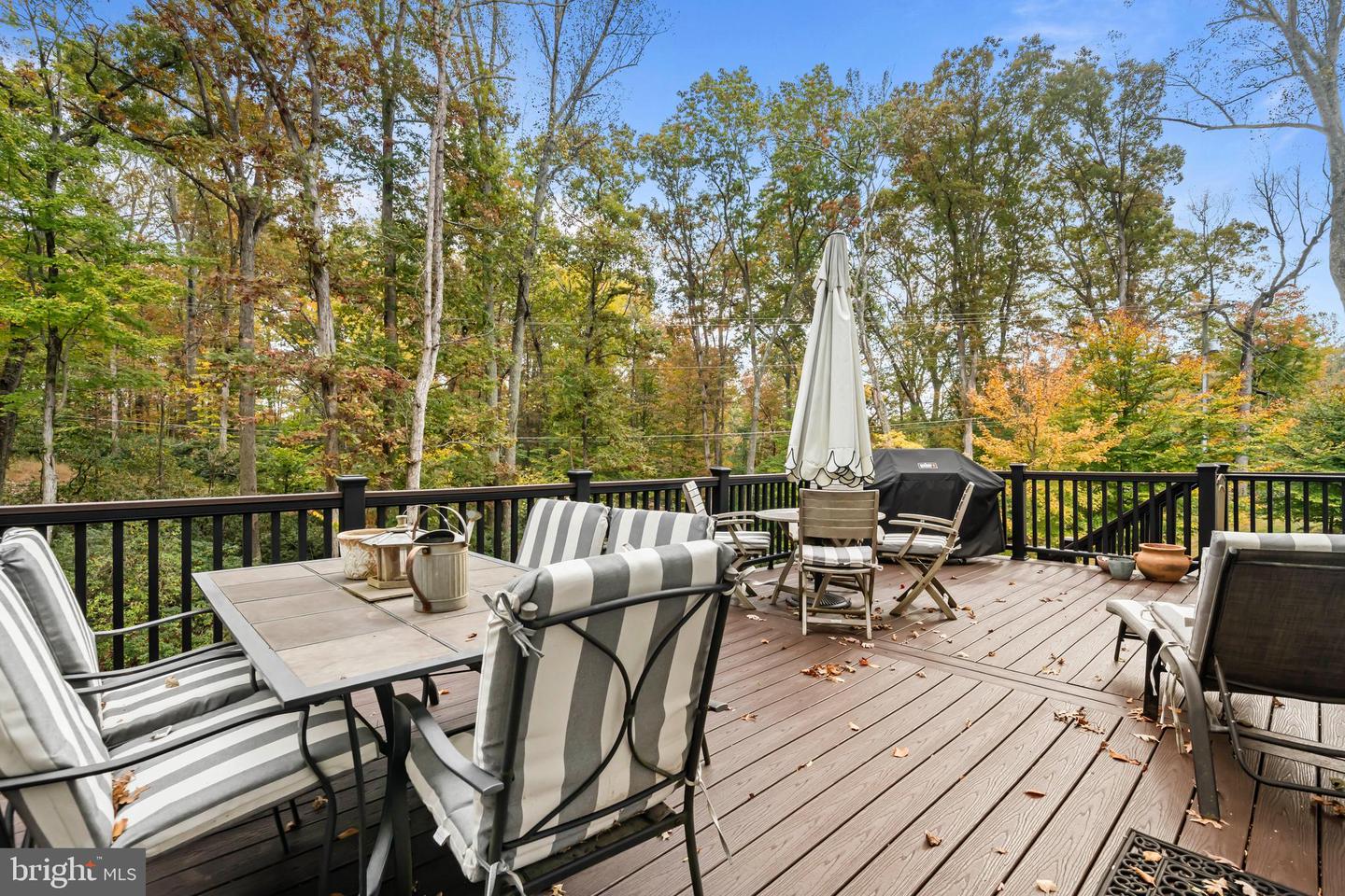 7800 GOLD FLINT CT, CLIFTON, Virginia 20124, 5 Bedrooms Bedrooms, ,6 BathroomsBathrooms,Residential,For sale,7800 GOLD FLINT CT,VAFX2293004 MLS # VAFX2293004