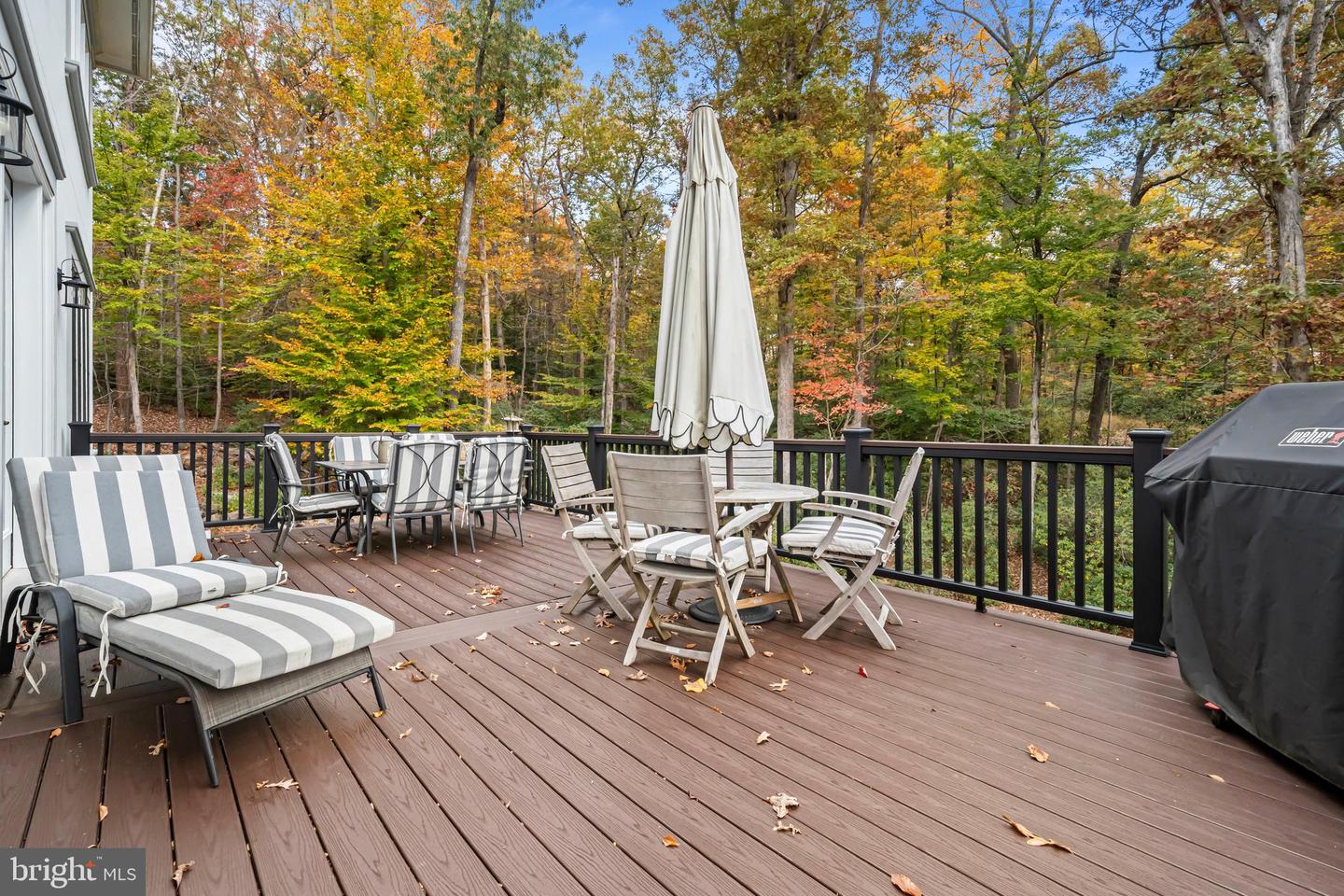 7800 GOLD FLINT CT, CLIFTON, Virginia 20124, 5 Bedrooms Bedrooms, ,6 BathroomsBathrooms,Residential,For sale,7800 GOLD FLINT CT,VAFX2293004 MLS # VAFX2293004