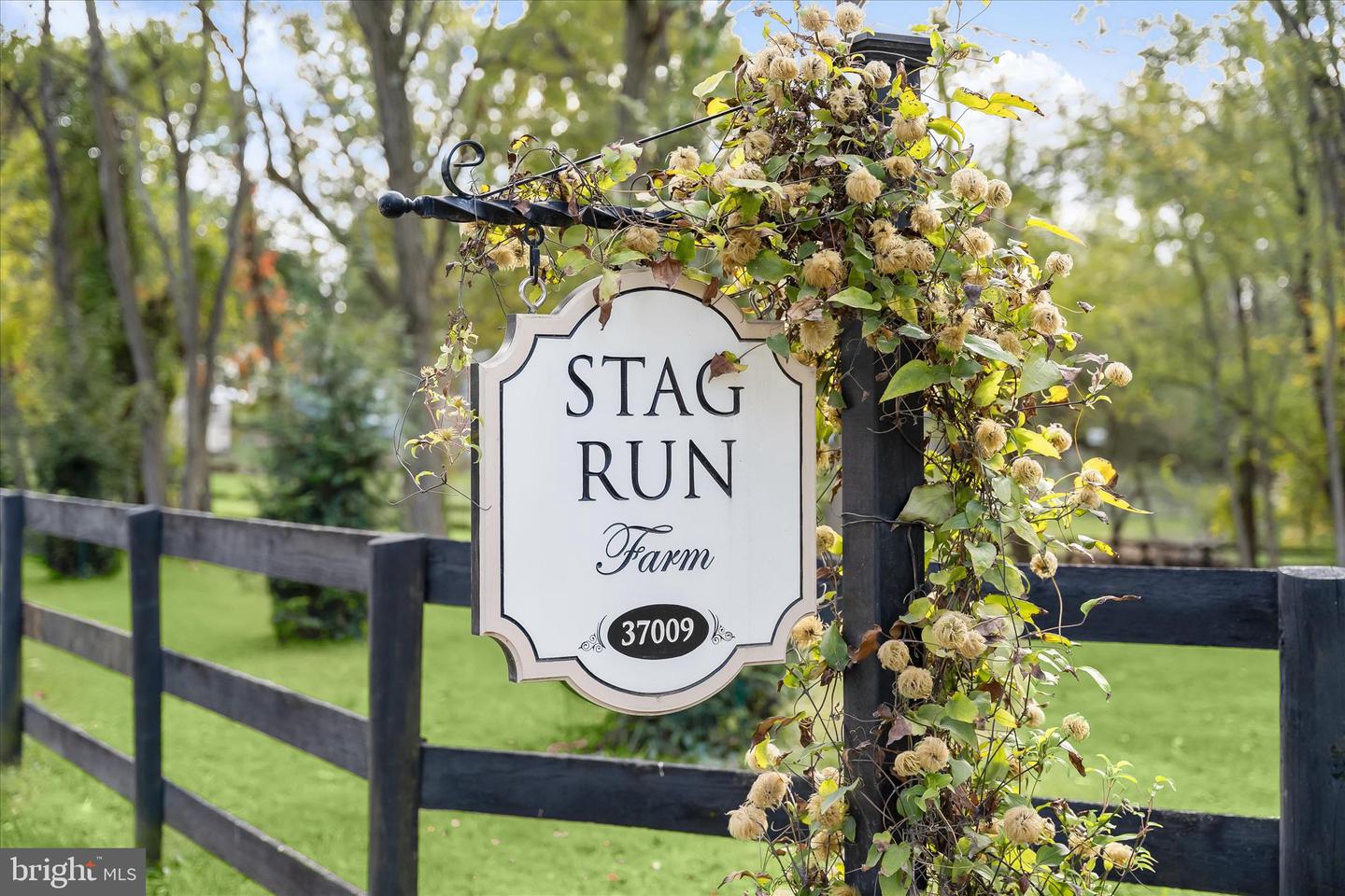 37009 PHILOMONT RD, PURCELLVILLE, Virginia 20132, 5 Bedrooms Bedrooms, ,3 BathroomsBathrooms,Residential,For sale,37009 PHILOMONT RD,VALO2115692 MLS # VALO2115692
