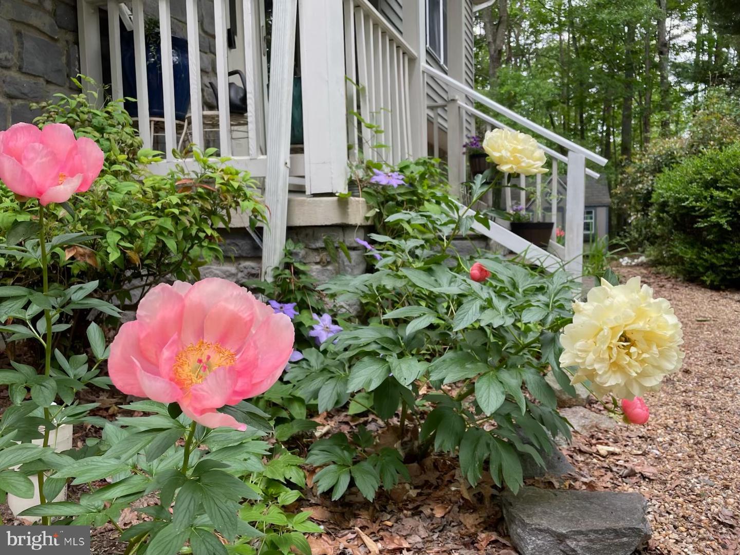 8507 LESLIE CT, FREDERICKSBURG, Virginia 22407, 3 Bedrooms Bedrooms, ,2 BathroomsBathrooms,Residential,For sale,8507 LESLIE CT,VASP2039596 MLS # VASP2039596