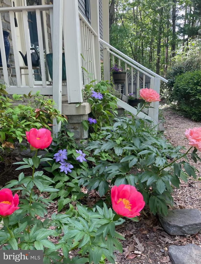 8507 LESLIE CT, FREDERICKSBURG, Virginia 22407, 3 Bedrooms Bedrooms, ,2 BathroomsBathrooms,Residential,For sale,8507 LESLIE CT,VASP2039596 MLS # VASP2039596