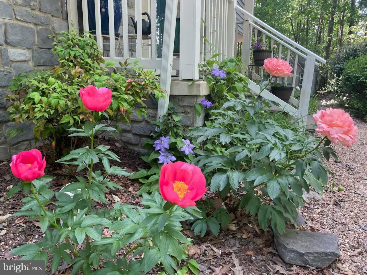 8507 LESLIE CT, FREDERICKSBURG, Virginia 22407, 3 Bedrooms Bedrooms, ,2 BathroomsBathrooms,Residential,For sale,8507 LESLIE CT,VASP2039596 MLS # VASP2039596