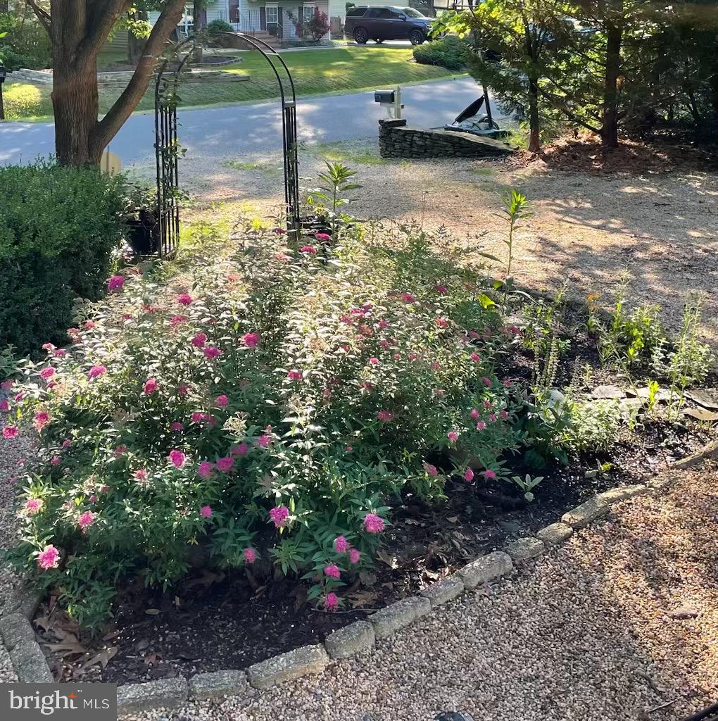 8507 LESLIE CT, FREDERICKSBURG, Virginia 22407, 3 Bedrooms Bedrooms, ,2 BathroomsBathrooms,Residential,For sale,8507 LESLIE CT,VASP2039596 MLS # VASP2039596