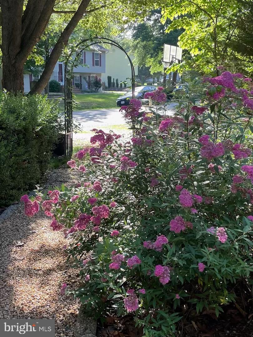 8507 LESLIE CT, FREDERICKSBURG, Virginia 22407, 3 Bedrooms Bedrooms, ,2 BathroomsBathrooms,Residential,For sale,8507 LESLIE CT,VASP2039596 MLS # VASP2039596