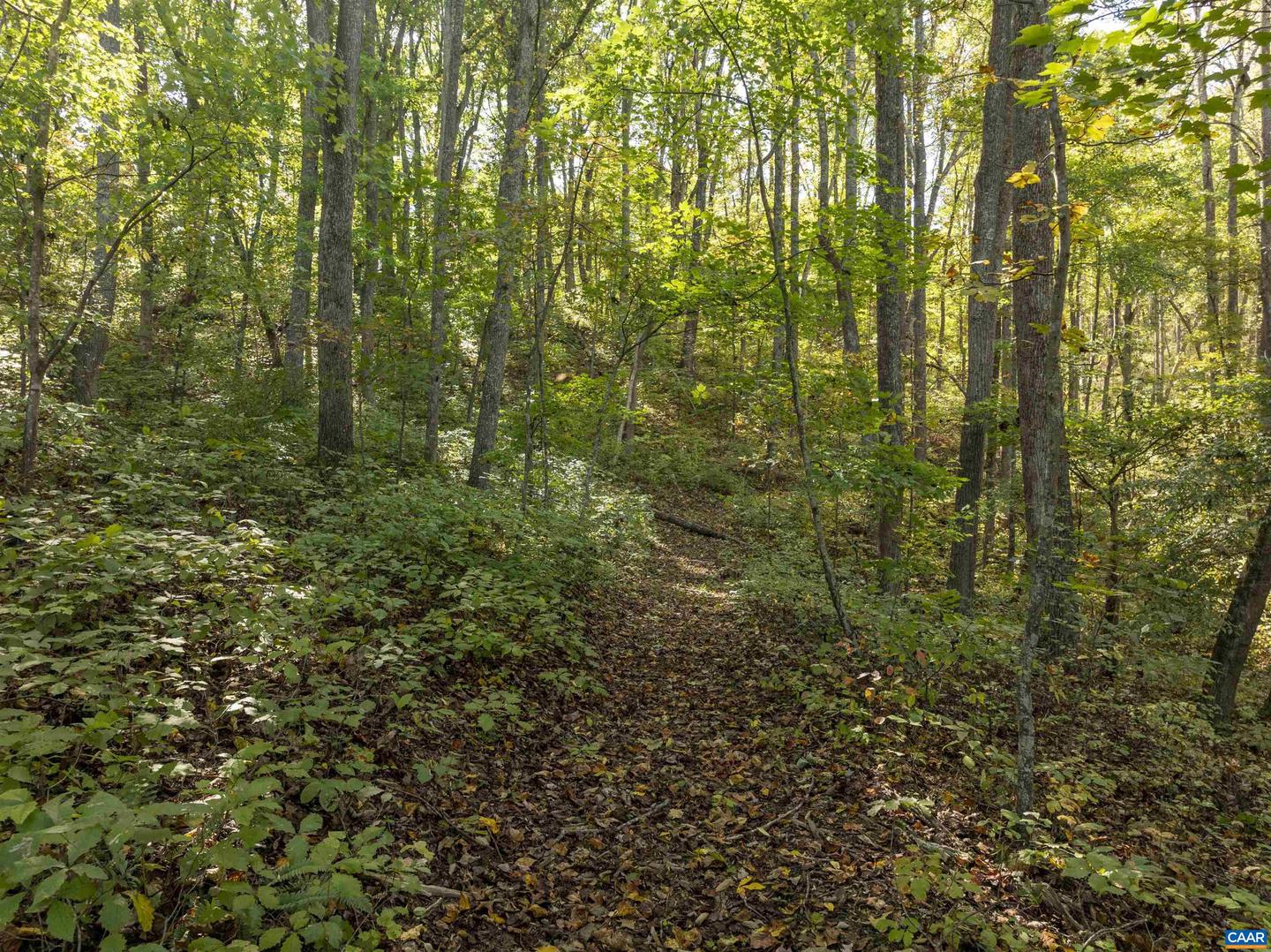 4035 EDGE VALLEY RD, NORTH GARDEN, Virginia 22959, 5 Bedrooms Bedrooms, ,3 BathroomsBathrooms,Residential,For sale,4035 EDGE VALLEY RD,673752 MLS # 673752 4035 EDGE VALLEY RD, NORTH GARDEN, Virginia 22959, 5 Bedrooms Bedrooms, ,3 BathroomsBathrooms,Residential,For sale,4035 EDGE VALLEY RD,673752 MLS # 673752