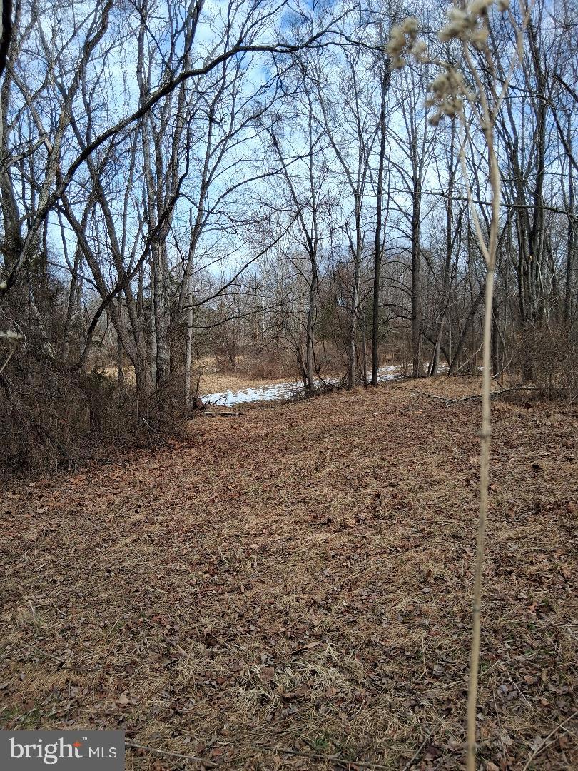 369-A ROCK MILLS RD #A, WASHINGTON, Virginia 22747, ,Land,For sale,369-A ROCK MILLS RD #A,VARP2002502 MLS # VARP2002502