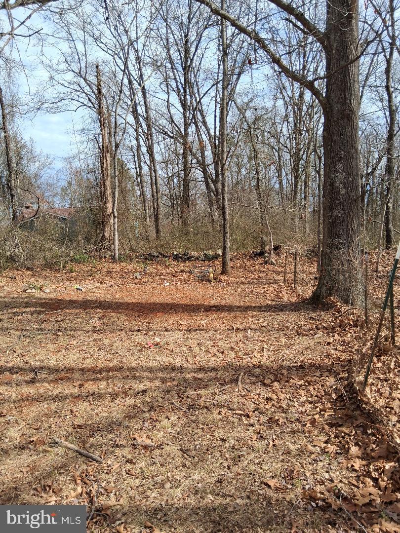 369-A ROCK MILLS RD #A, WASHINGTON, Virginia 22747, ,Land,For sale,369-A ROCK MILLS RD #A,VARP2002502 MLS # VARP2002502