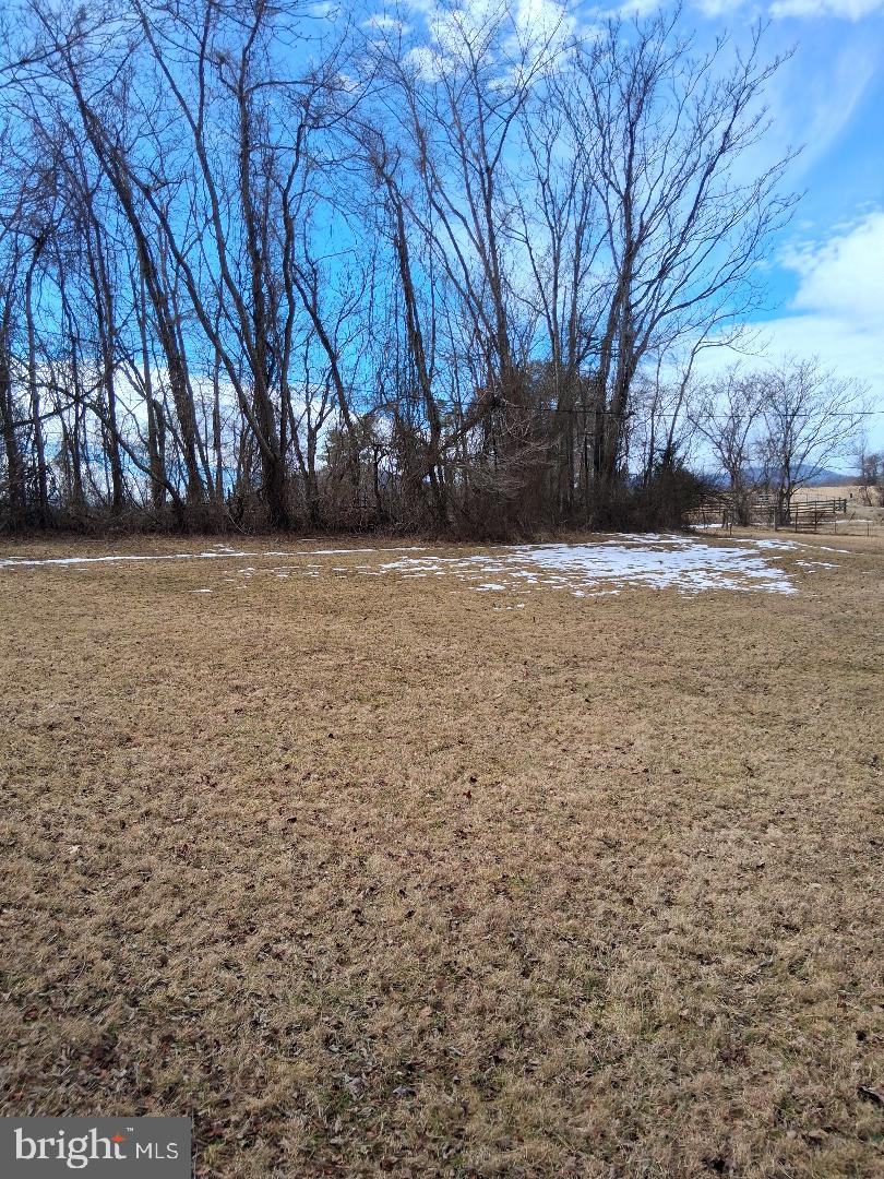 369-A ROCK MILLS RD #A, WASHINGTON, Virginia 22747, ,Land,For sale,369-A ROCK MILLS RD #A,VARP2002502 MLS # VARP2002502