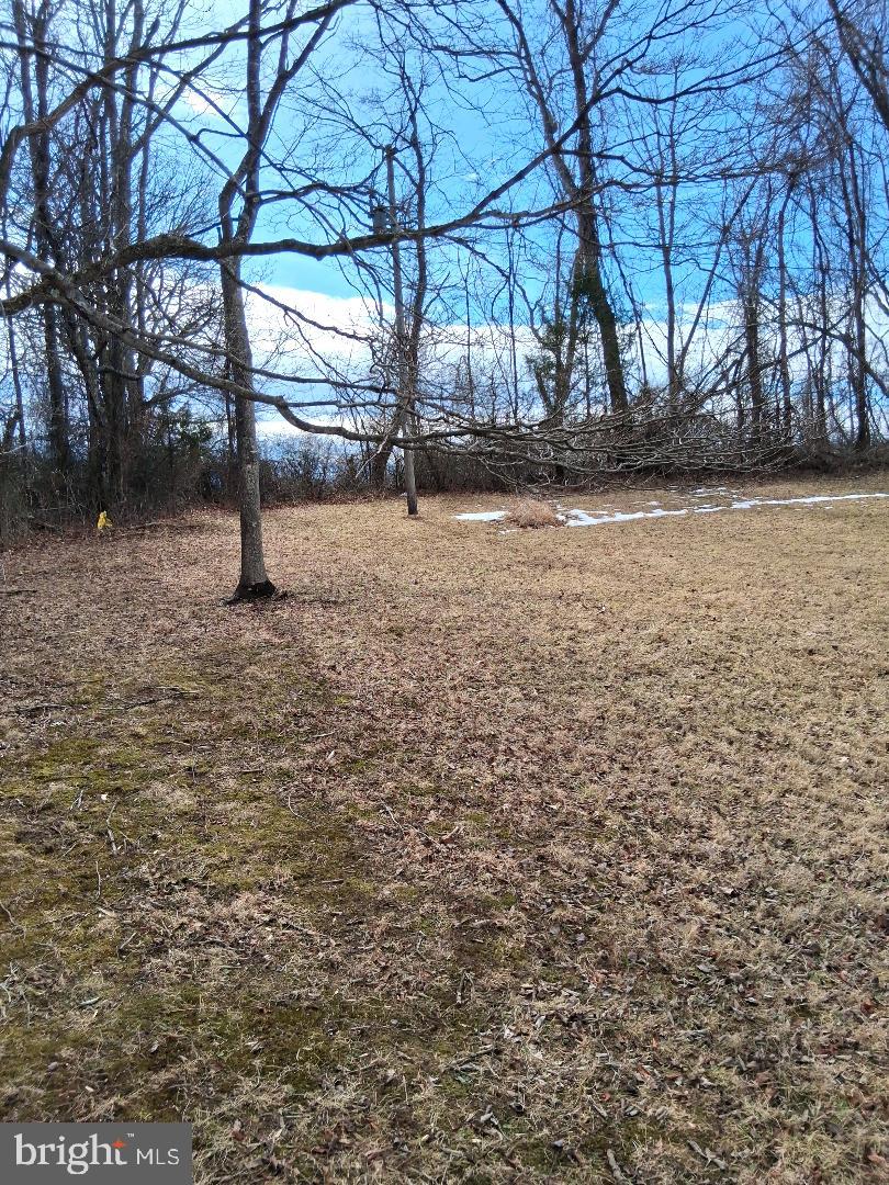 369-A ROCK MILLS RD #A, WASHINGTON, Virginia 22747, ,Land,For sale,369-A ROCK MILLS RD #A,VARP2002502 MLS # VARP2002502