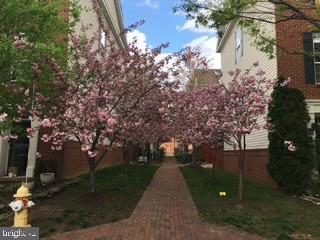 4925 WAPLE LN, ALEXANDRIA, Virginia 22304, 3 Bedrooms Bedrooms, ,2 BathroomsBathrooms,Residential,For sale,4925 WAPLE LN,VAAX2054158 MLS # VAAX2054158