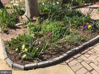 4925 WAPLE LN, ALEXANDRIA, Virginia 22304, 3 Bedrooms Bedrooms, ,2 BathroomsBathrooms,Residential,For sale,4925 WAPLE LN,VAAX2054158 MLS # VAAX2054158