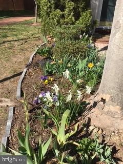 4925 WAPLE LN, ALEXANDRIA, Virginia 22304, 3 Bedrooms Bedrooms, ,2 BathroomsBathrooms,Residential,For sale,4925 WAPLE LN,VAAX2054158 MLS # VAAX2054158