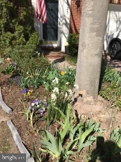 4925 WAPLE LN, ALEXANDRIA, Virginia 22304, 3 Bedrooms Bedrooms, ,2 BathroomsBathrooms,Residential,For sale,4925 WAPLE LN,VAAX2054158 MLS # VAAX2054158