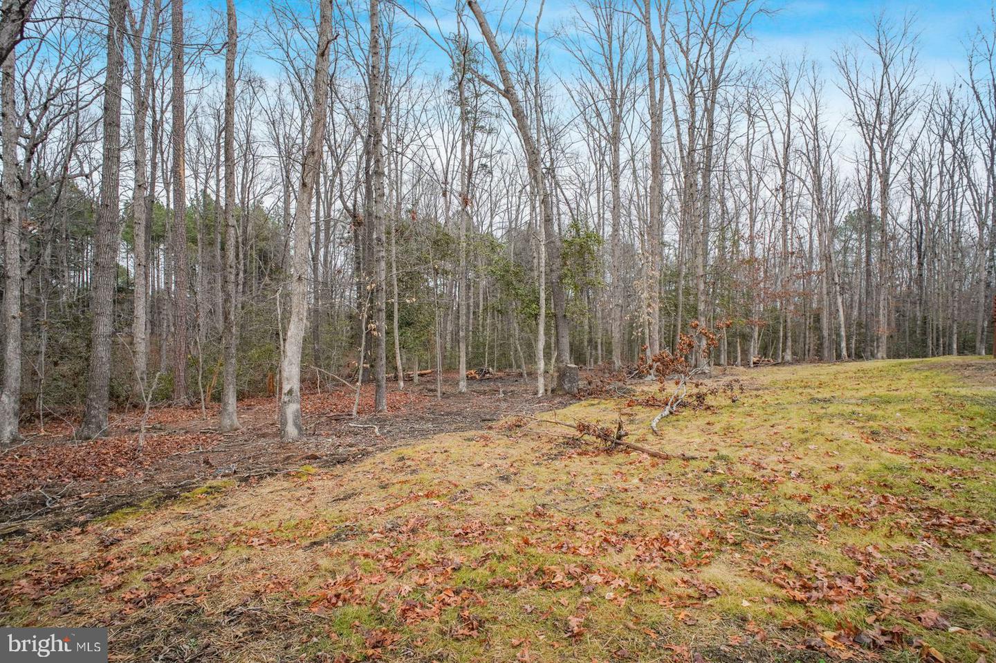 6113 RIDGE TREE RD, FREDERICKSBURG, Virginia 22407, 3 Bedrooms Bedrooms, ,2 BathroomsBathrooms,Residential,For sale,6113 RIDGE TREE RD,VASP2039348 MLS # VASP2039348