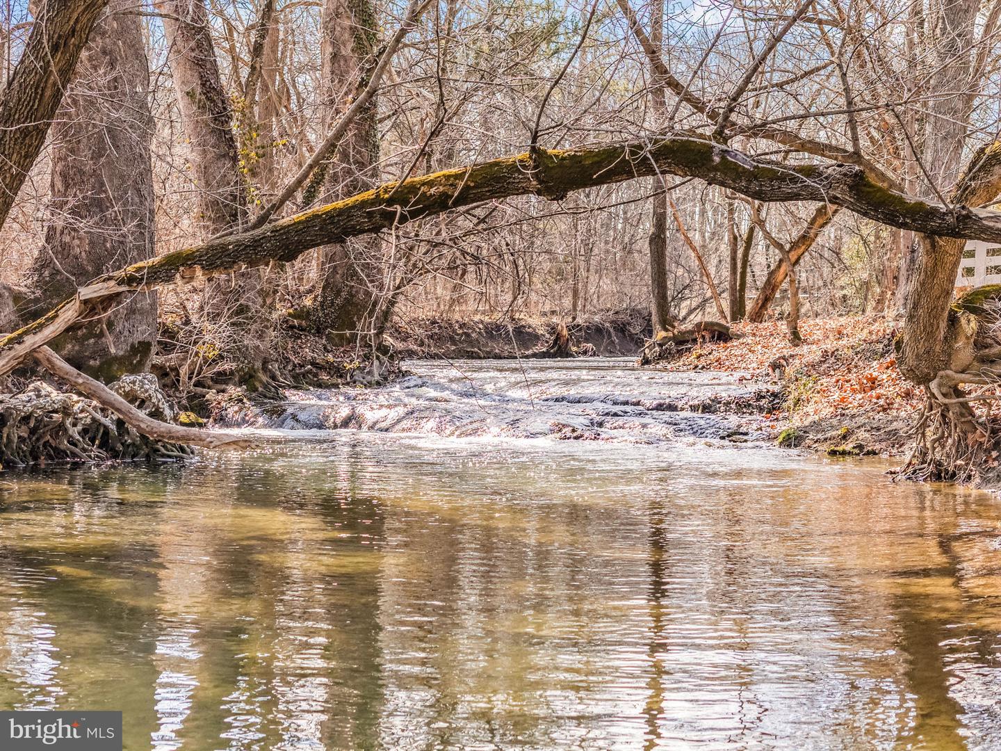 100 COUNTRY CLUB CIR, WINCHESTER, Virginia 22602, 5 Bedrooms Bedrooms, ,4 BathroomsBathrooms,Residential,For sale,100 COUNTRY CLUB CIR,VAFV2039762 MLS # VAFV2039762