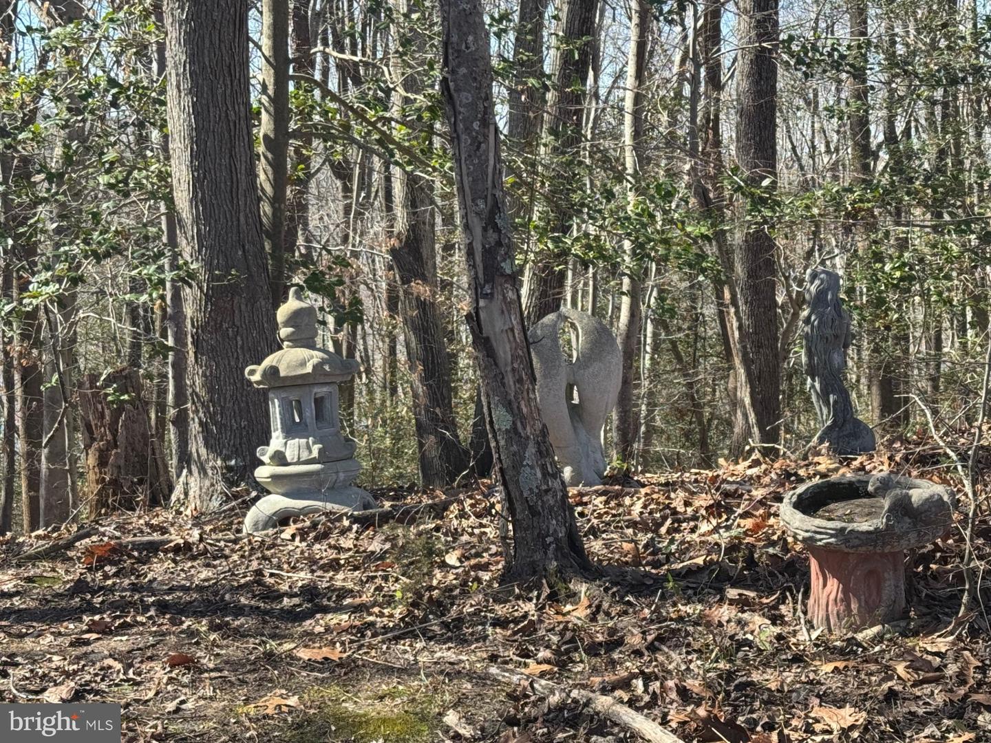 388 BERRY RIDGE RD, TAPPAHANNOCK, Virginia 22560, 3 Bedrooms Bedrooms, 5 Rooms Rooms,2 BathroomsBathrooms,Residential,For sale,388 BERRY RIDGE RD,VAES2002114 MLS # VAES2002114