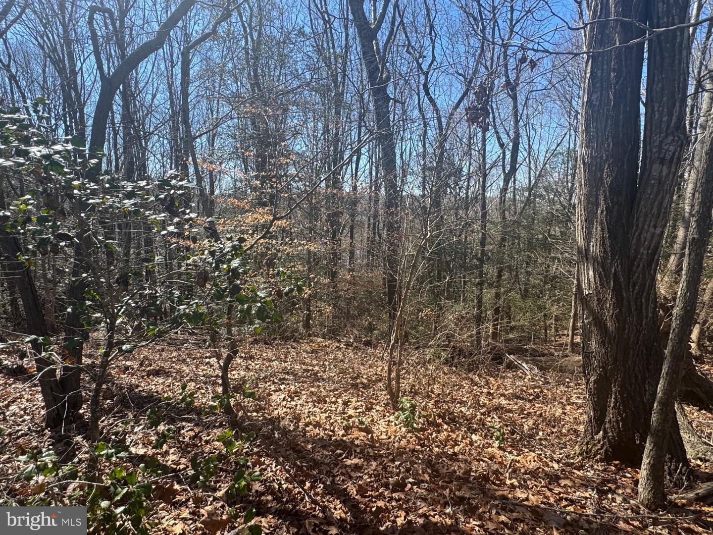 388 BERRY RIDGE RD, TAPPAHANNOCK, Virginia 22560, 3 Bedrooms Bedrooms, 5 Rooms Rooms,2 BathroomsBathrooms,Residential,For sale,388 BERRY RIDGE RD,VAES2002114 MLS # VAES2002114