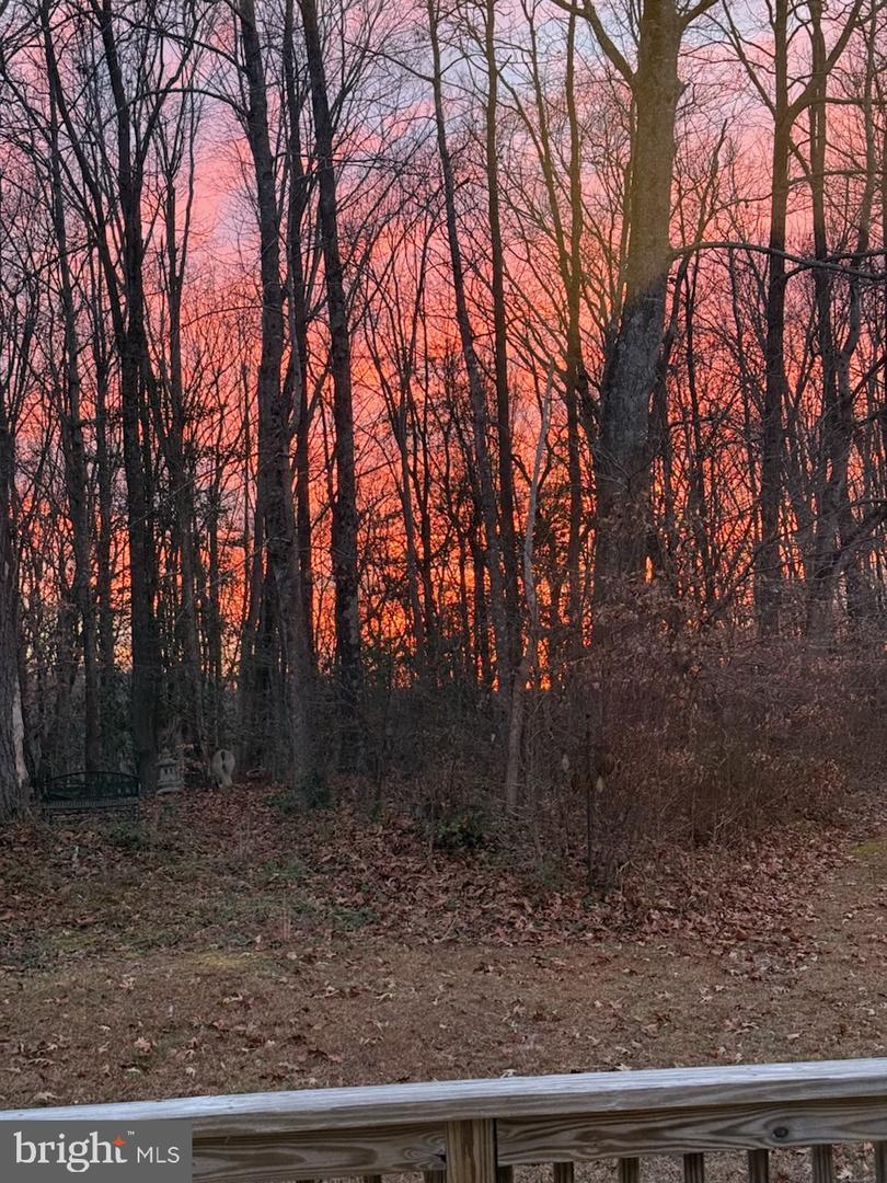 388 BERRY RIDGE RD, TAPPAHANNOCK, Virginia 22560, 3 Bedrooms Bedrooms, 5 Rooms Rooms,2 BathroomsBathrooms,Residential,For sale,388 BERRY RIDGE RD,VAES2002114 MLS # VAES2002114