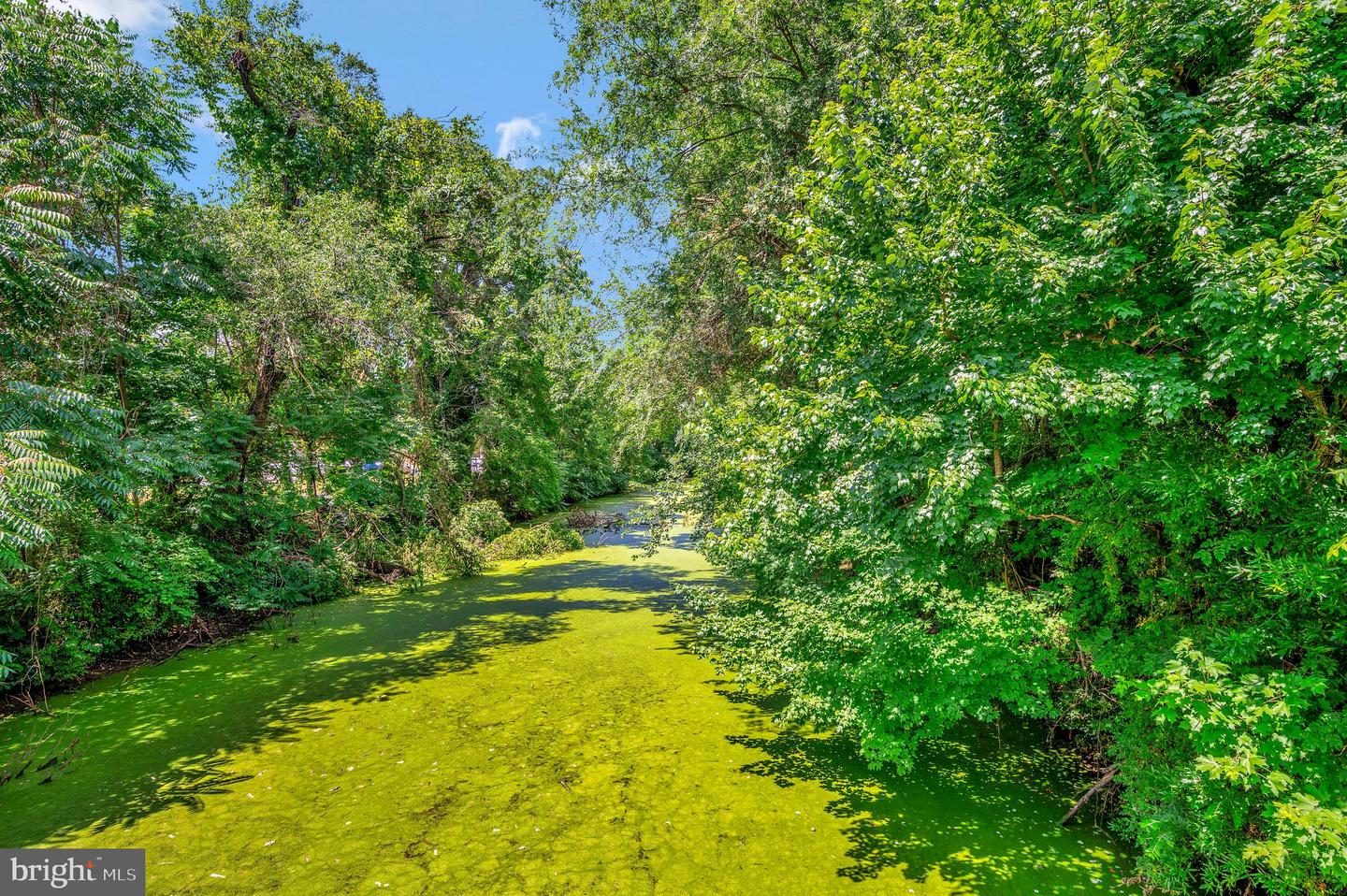1102 DAMERON CT, FREDERICKSBURG, Virginia 22401, 4 Bedrooms Bedrooms, ,3 BathroomsBathrooms,Residential,For sale,1102 DAMERON CT,VAFB2009724 MLS # VAFB2009724