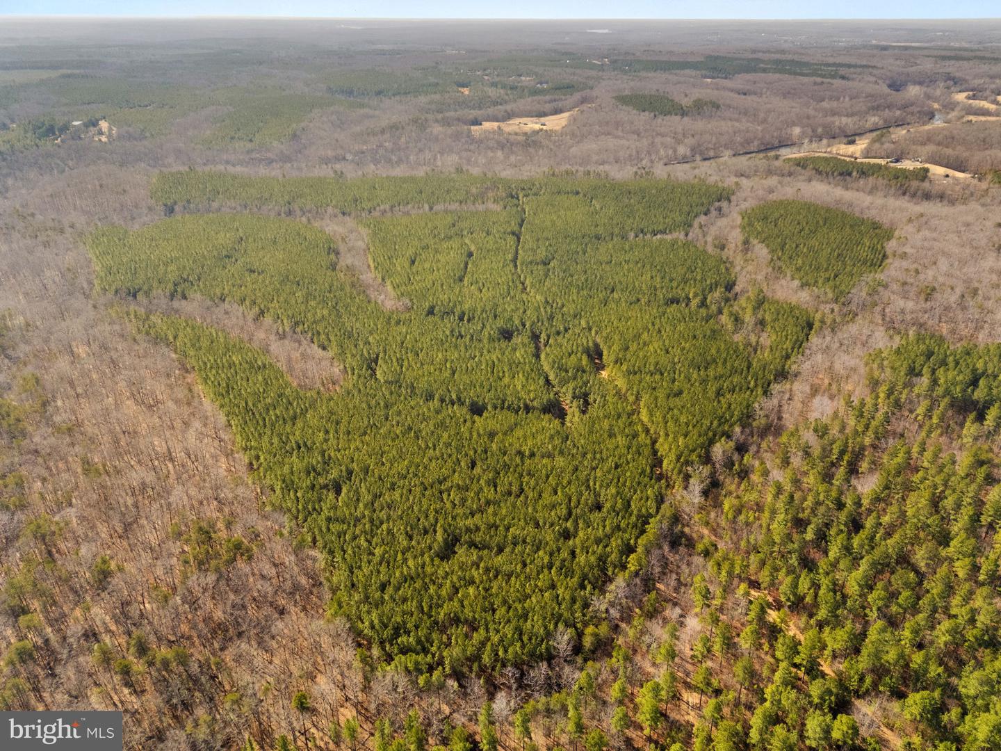 OFF SNAKE CASTLE ROAD, SUMERDUCK, Virginia 22742, ,Farm,For sale,OFF SNAKE CASTLE ROAD,VAFQ2020476 MLS # VAFQ2020476