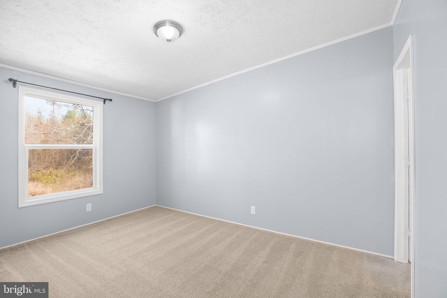 10000 HUMMINGBIRD LN, PARTLOW, Virginia 22534, ,Residential,For sale,10000 HUMMINGBIRD LN,VASP2037852 MLS # VASP2037852