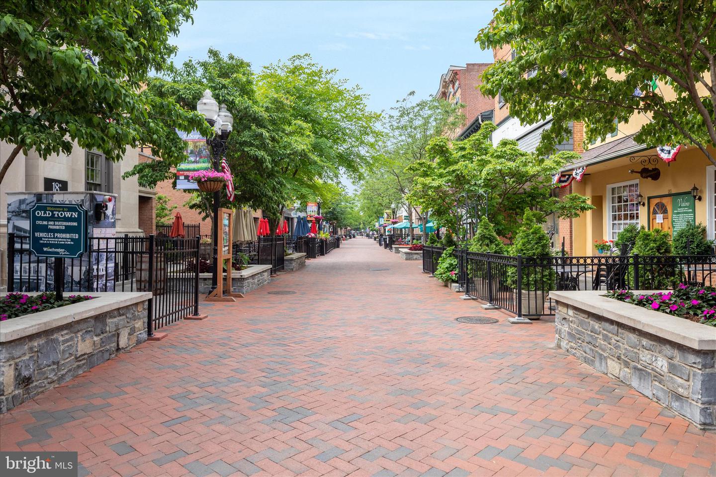 174 WILLIAMSON RD, WINCHESTER, Virginia 22602, 5 Bedrooms Bedrooms, ,3 BathroomsBathrooms,Residential,For sale,174 WILLIAMSON RD,VAFV2039490 MLS # VAFV2039490