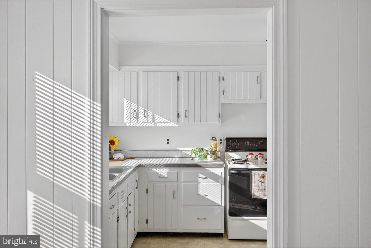 913 SPOTSWOOD DR, HARRISONBURG, Virginia 22802, 3 Bedrooms Bedrooms, ,1 BathroomBathrooms,Residential,For sale,913 SPOTSWOOD DR,VAHC2000556 MLS # VAHC2000556 913 SPOTSWOOD DR, HARRISONBURG, Virginia 22802, 3 Bedrooms Bedrooms, ,1 BathroomBathrooms,Residential,For sale,913 SPOTSWOOD DR,VAHC2000556 MLS # VAHC2000556