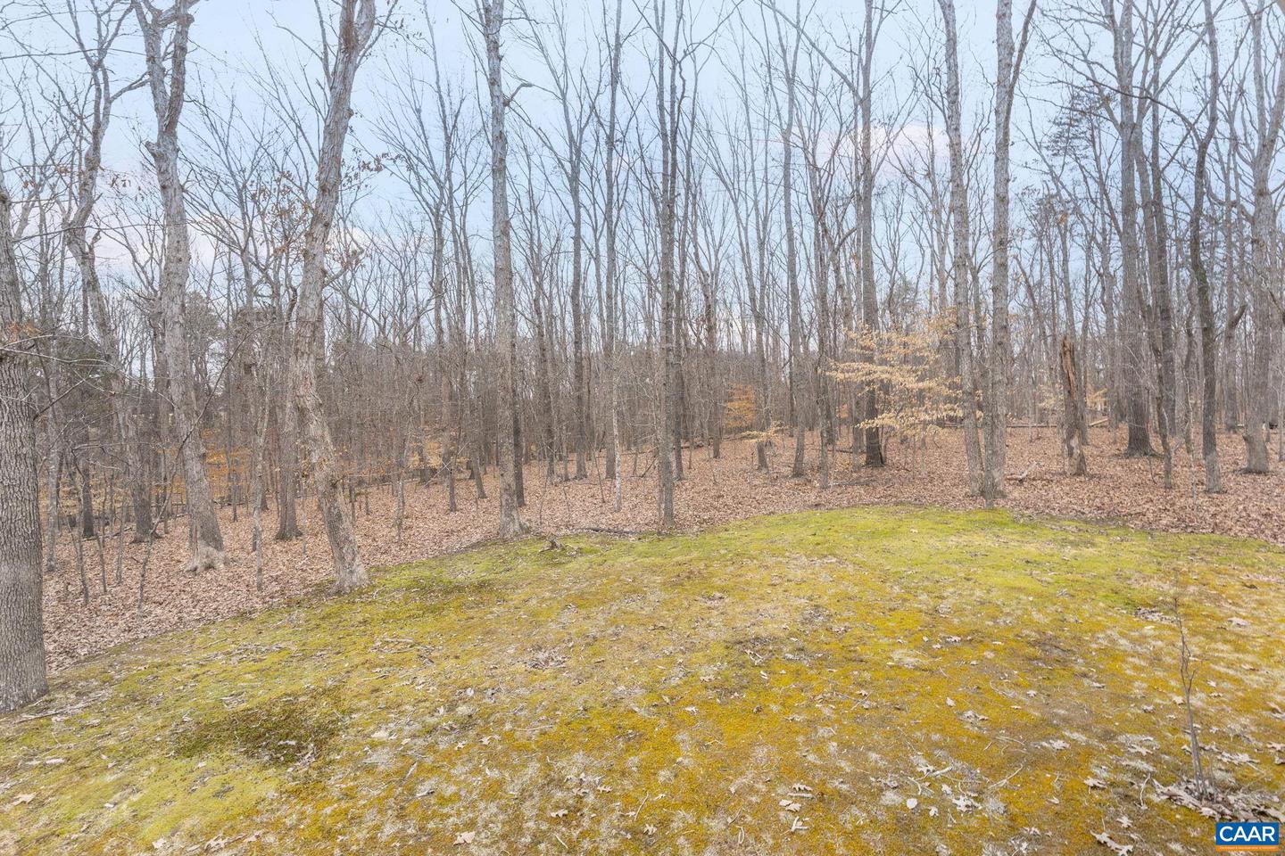 22 BRIDLEWOOD DR, PALMYRA, Virginia 22963, 3 Bedrooms Bedrooms, ,2 BathroomsBathrooms,Residential,For sale,22 BRIDLEWOOD DR,673754 MLS # 673754 22 BRIDLEWOOD DR, PALMYRA, Virginia 22963, 3 Bedrooms Bedrooms, ,2 BathroomsBathrooms,Residential,For sale,22 BRIDLEWOOD DR,673754 MLS # 673754