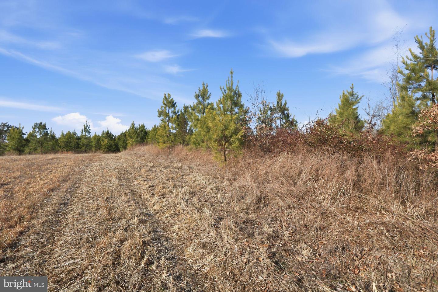 15284 POPLAR RD, ORANGE, Virginia 22960, 4 Bedrooms Bedrooms, ,1 BathroomBathrooms,Farm,For sale,15284 POPLAR RD,VAOR2013184 MLS # VAOR2013184