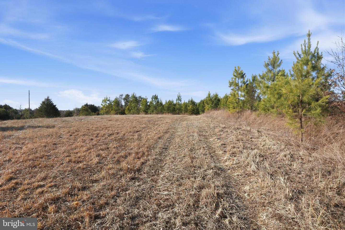 15284 POPLAR RD, ORANGE, Virginia 22960, 4 Bedrooms Bedrooms, ,1 BathroomBathrooms,Farm,For sale,15284 POPLAR RD,VAOR2013184 MLS # VAOR2013184