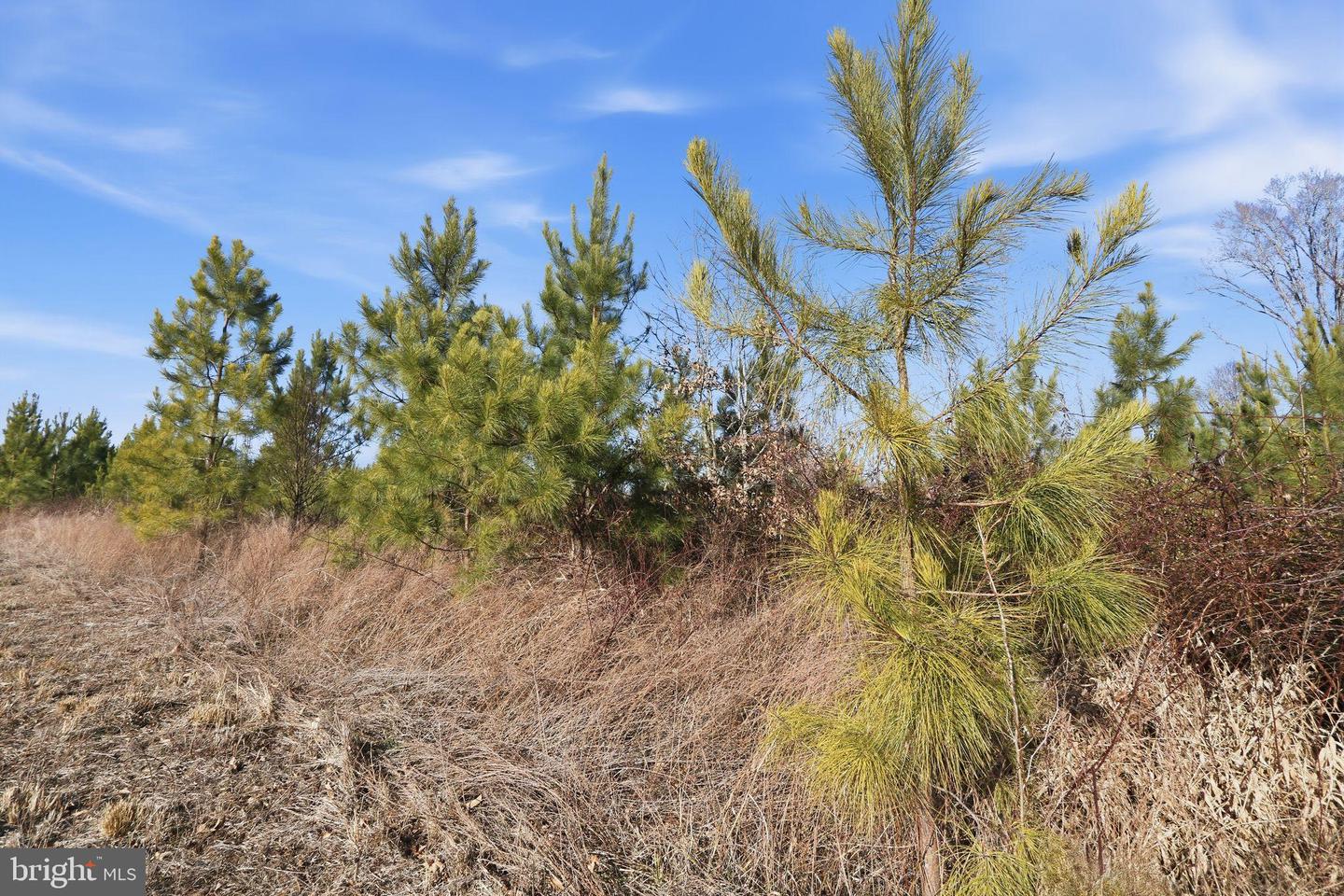 15284 POPLAR RD, ORANGE, Virginia 22960, 4 Bedrooms Bedrooms, ,1 BathroomBathrooms,Farm,For sale,15284 POPLAR RD,VAOR2013184 MLS # VAOR2013184