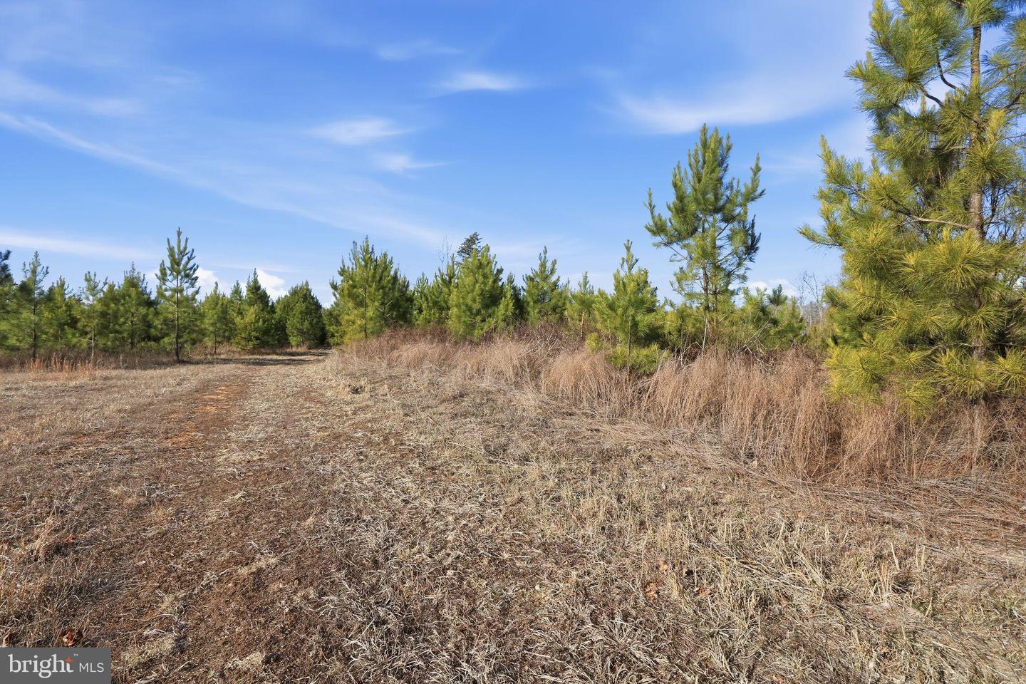 15284 POPLAR RD, ORANGE, Virginia 22960, 4 Bedrooms Bedrooms, ,1 BathroomBathrooms,Farm,For sale,15284 POPLAR RD,VAOR2013184 MLS # VAOR2013184