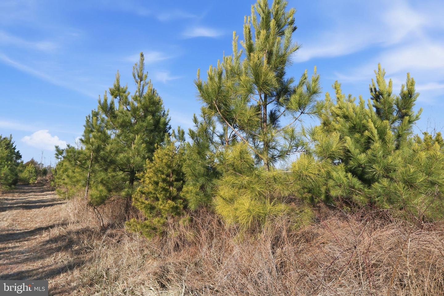 15284 POPLAR RD, ORANGE, Virginia 22960, 4 Bedrooms Bedrooms, ,1 BathroomBathrooms,Farm,For sale,15284 POPLAR RD,VAOR2013184 MLS # VAOR2013184