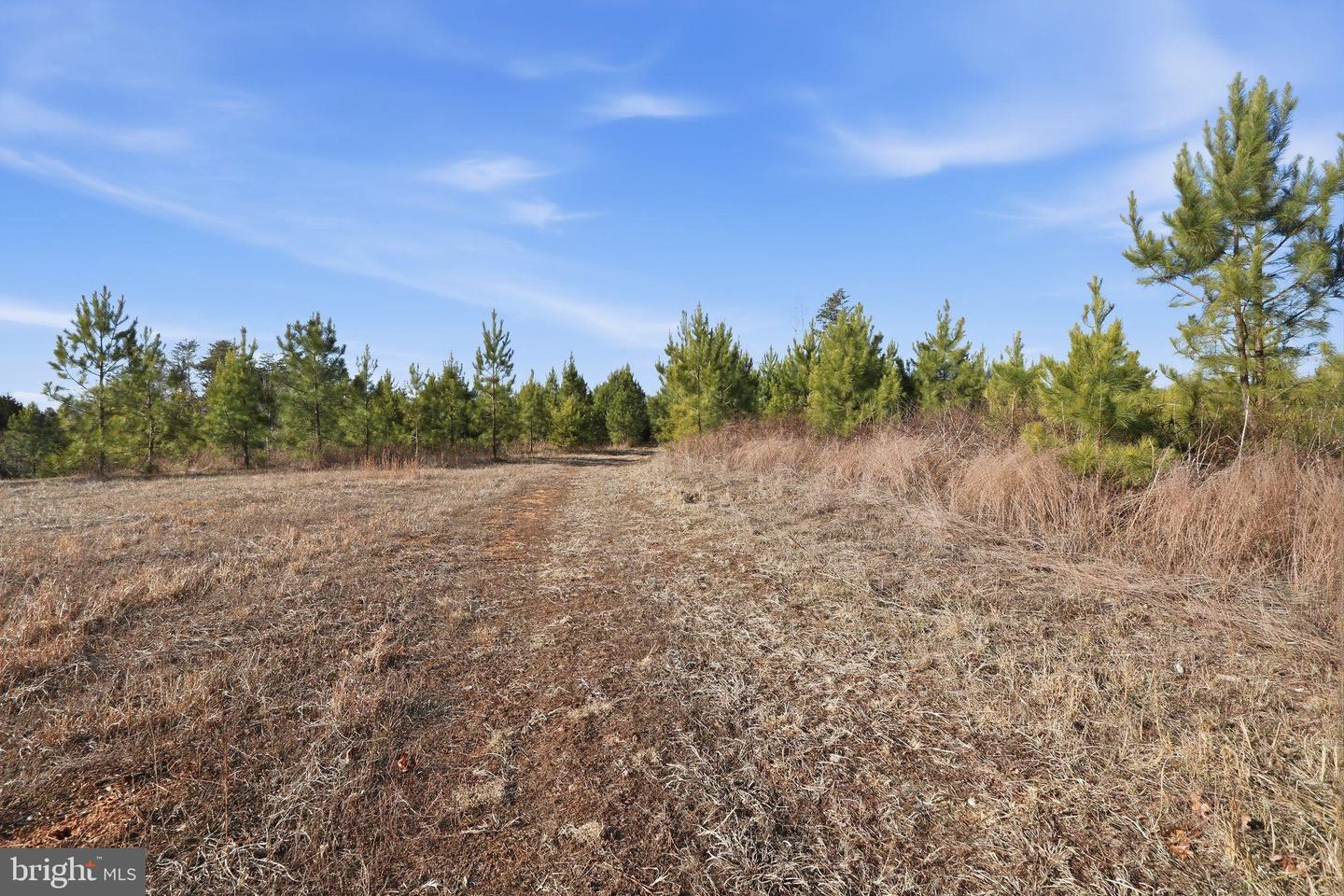 15284 POPLAR RD, ORANGE, Virginia 22960, 4 Bedrooms Bedrooms, ,1 BathroomBathrooms,Farm,For sale,15284 POPLAR RD,VAOR2013184 MLS # VAOR2013184