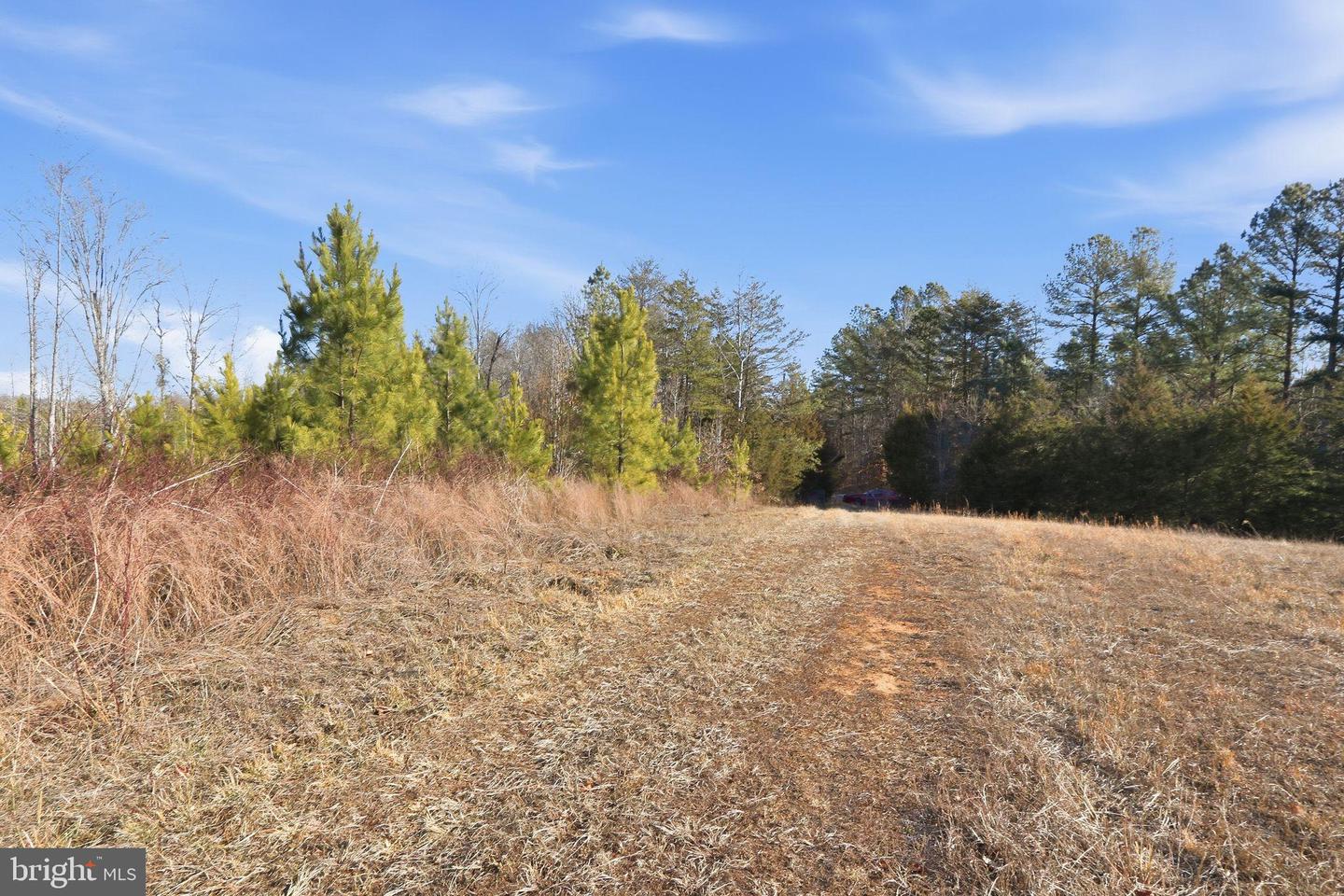 15284 POPLAR RD, ORANGE, Virginia 22960, 4 Bedrooms Bedrooms, ,1 BathroomBathrooms,Farm,For sale,15284 POPLAR RD,VAOR2013184 MLS # VAOR2013184