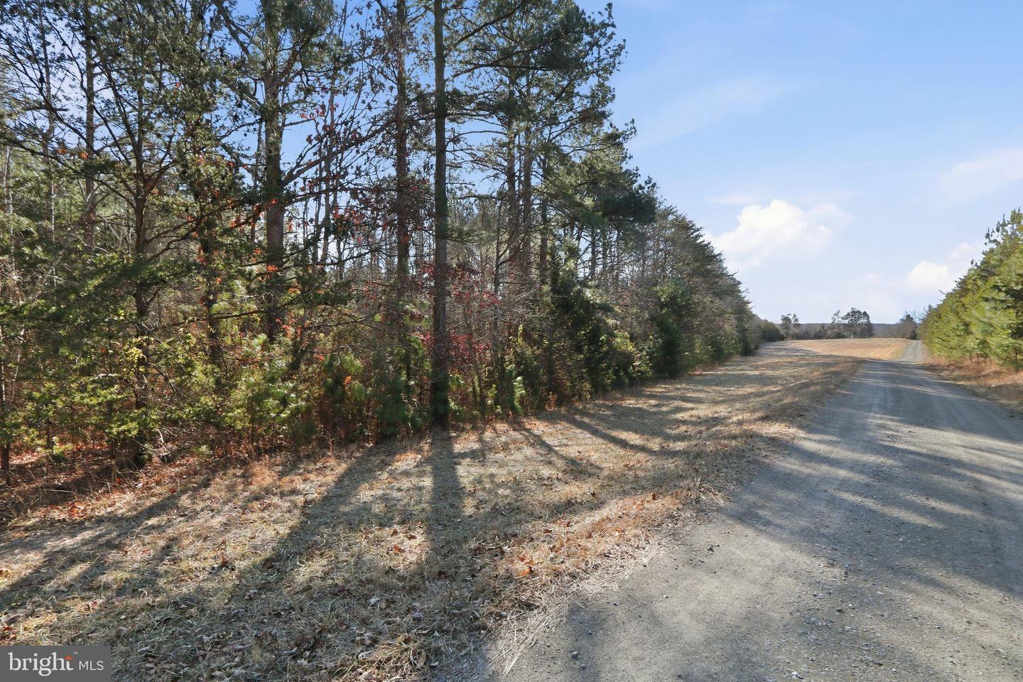 15284 POPLAR RD, ORANGE, Virginia 22960, 4 Bedrooms Bedrooms, ,1 BathroomBathrooms,Farm,For sale,15284 POPLAR RD,VAOR2013184 MLS # VAOR2013184