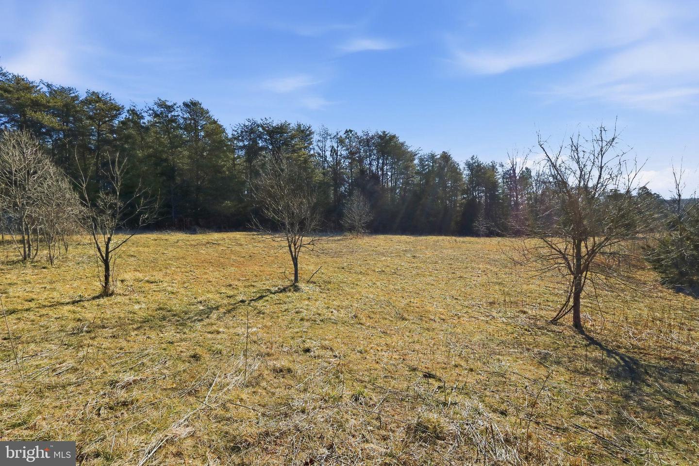 15284 POPLAR RD, ORANGE, Virginia 22960, 4 Bedrooms Bedrooms, ,1 BathroomBathrooms,Farm,For sale,15284 POPLAR RD,VAOR2013184 MLS # VAOR2013184