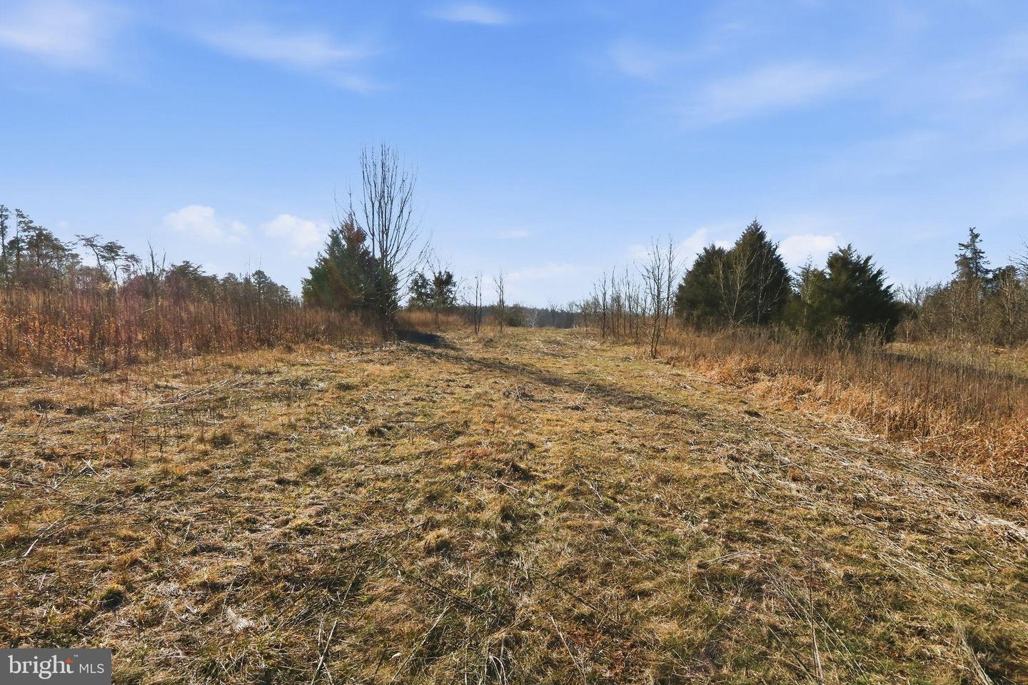 15284 POPLAR RD, ORANGE, Virginia 22960, 4 Bedrooms Bedrooms, ,1 BathroomBathrooms,Farm,For sale,15284 POPLAR RD,VAOR2013184 MLS # VAOR2013184