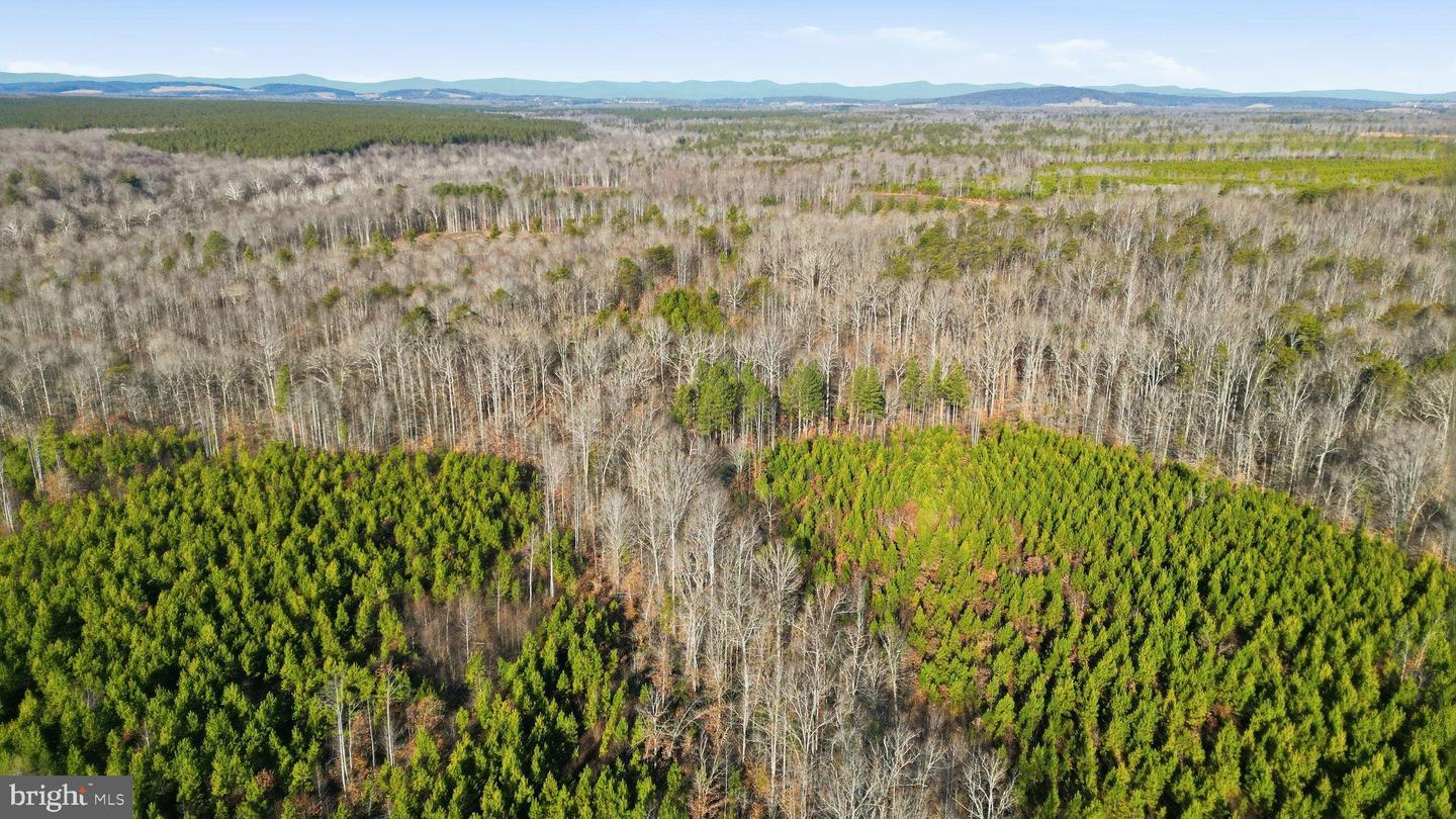 15284 POPLAR RD, ORANGE, Virginia 22960, 4 Bedrooms Bedrooms, ,1 BathroomBathrooms,Farm,For sale,15284 POPLAR RD,VAOR2013184 MLS # VAOR2013184