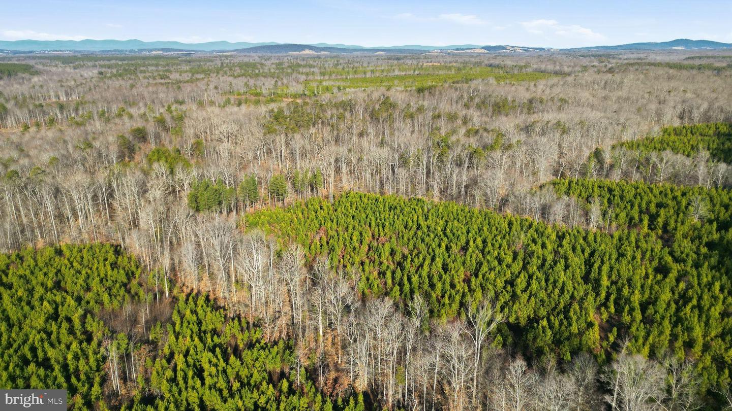 15284 POPLAR RD, ORANGE, Virginia 22960, 4 Bedrooms Bedrooms, ,1 BathroomBathrooms,Farm,For sale,15284 POPLAR RD,VAOR2013184 MLS # VAOR2013184
