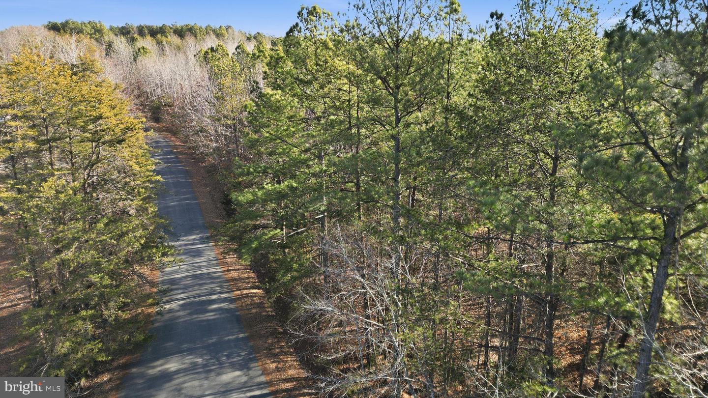 15284 POPLAR RD, ORANGE, Virginia 22960, 4 Bedrooms Bedrooms, ,1 BathroomBathrooms,Farm,For sale,15284 POPLAR RD,VAOR2013184 MLS # VAOR2013184