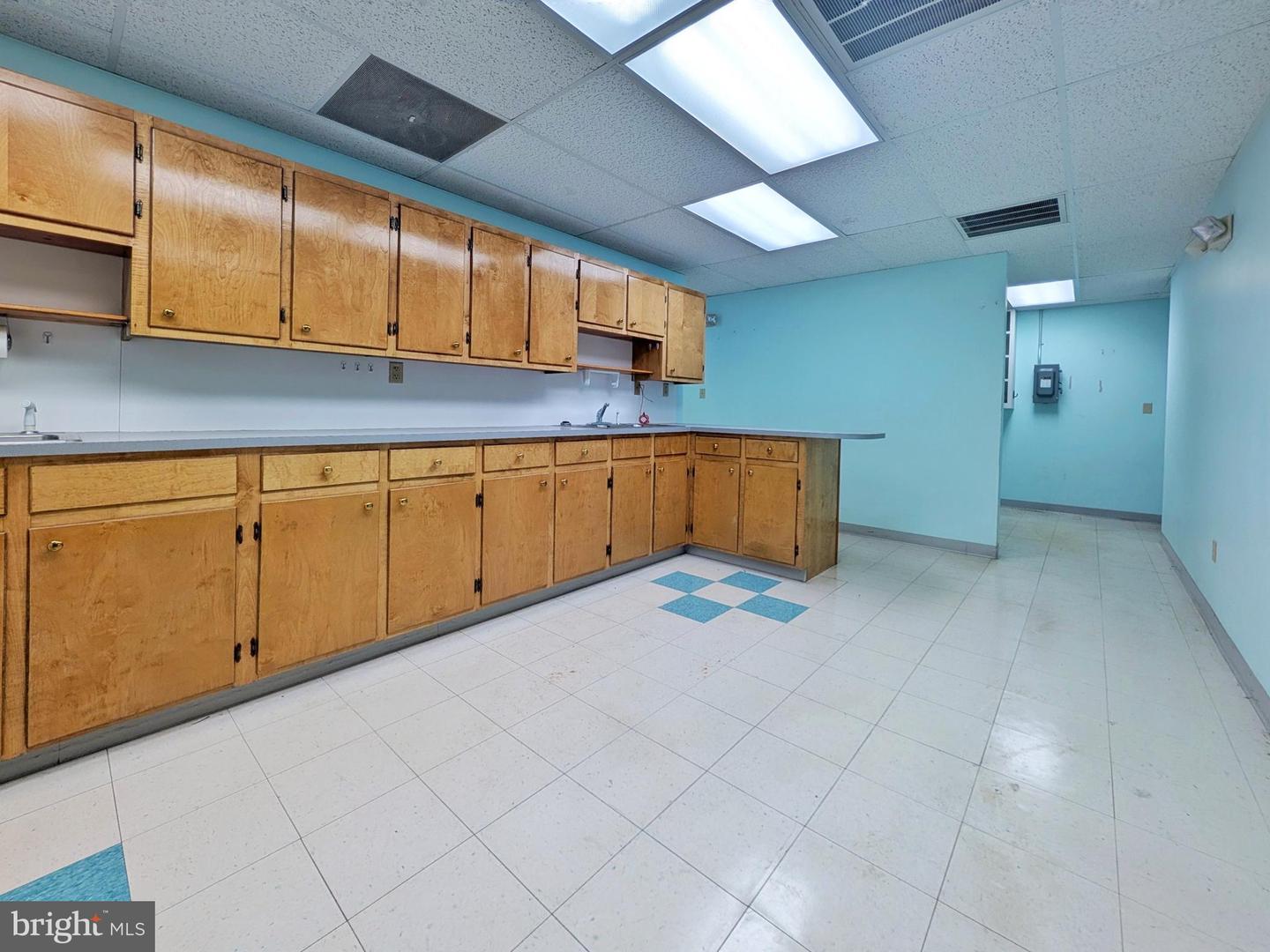 1208 E MAIN ST, LURAY, Virginia 22835, ,Land,For sale,1208 E MAIN ST,VAPA2006122 MLS # VAPA2006122