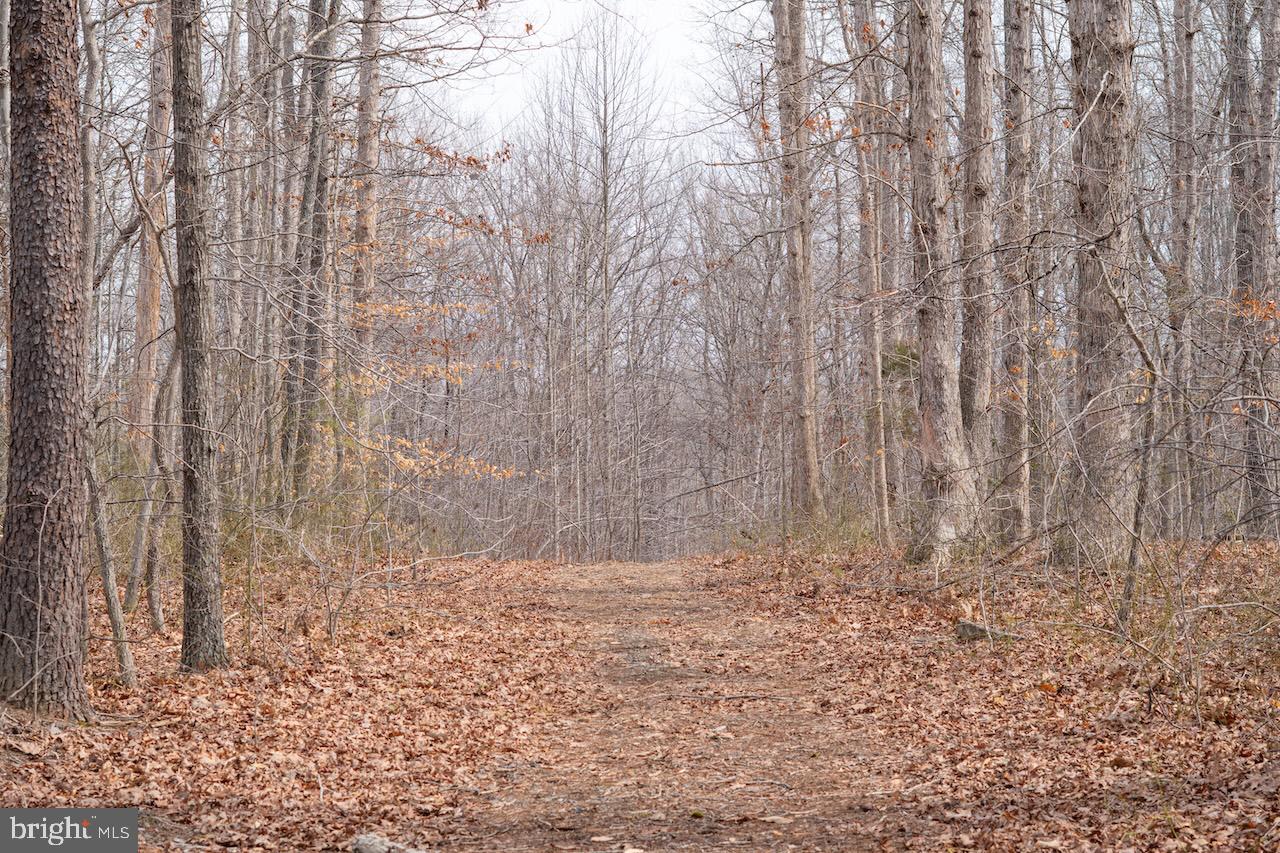 DEEP RUN MILL ROAD, GOLDVEIN, Virginia 22720, ,Land,For sale,DEEP RUN MILL ROAD,VAFQ2020662 MLS # VAFQ2020662