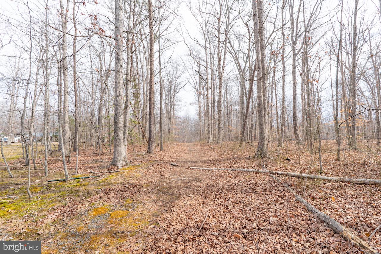 DEEP RUN MILL ROAD, GOLDVEIN, Virginia 22720, ,Land,For sale,DEEP RUN MILL ROAD,VAFQ2020662 MLS # VAFQ2020662