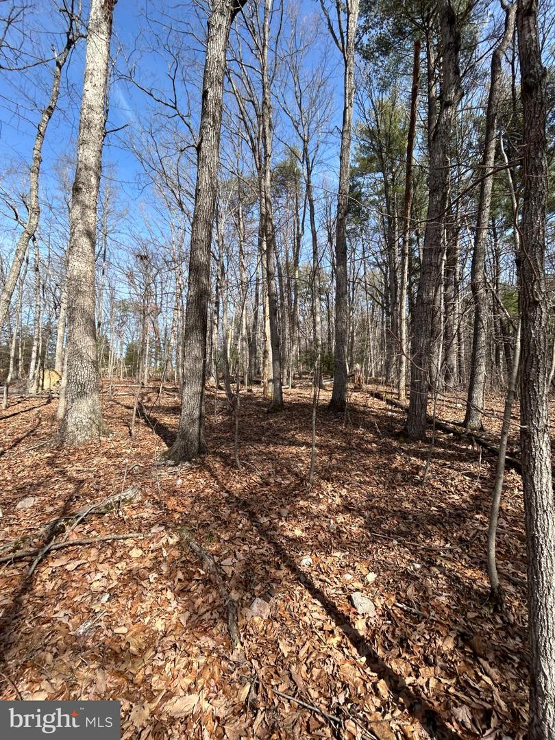 301 ABBOTTS LN, RILEYVILLE, Virginia 22650, ,Land,For sale,301 ABBOTTS LN,VAPA2006092 MLS # VAPA2006092