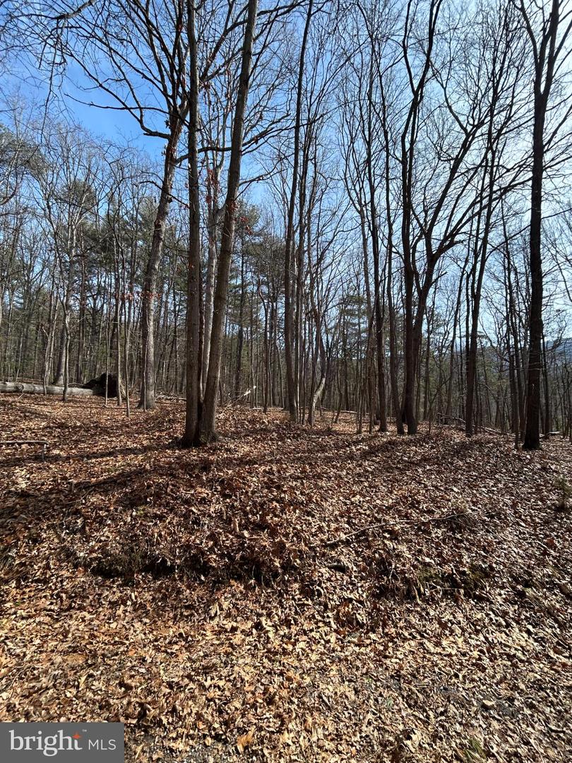 301 ABBOTTS LN, RILEYVILLE, Virginia 22650, ,Land,For sale,301 ABBOTTS LN,VAPA2006092 MLS # VAPA2006092