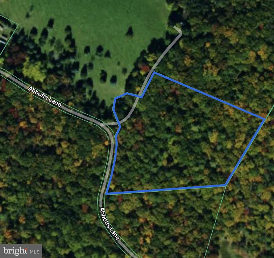 301 ABBOTTS LN, RILEYVILLE, Virginia 22650, ,Land,For sale,301 ABBOTTS LN,VAPA2006092 MLS # VAPA2006092
