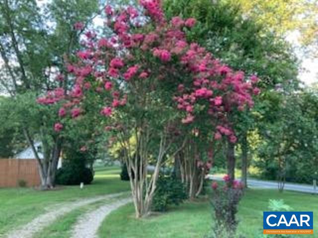 2600 EARLYSVILLE RD, EARLYSVILLE, Virginia 22936, 3 Bedrooms Bedrooms, ,2 BathroomsBathrooms,Residential,For sale,2600 EARLYSVILLE RD,673695 MLS # 673695 2600 EARLYSVILLE RD, EARLYSVILLE, Virginia 22936, 3 Bedrooms Bedrooms, ,2 BathroomsBathrooms,Residential,For sale,2600 EARLYSVILLE RD,673695 MLS # 673695