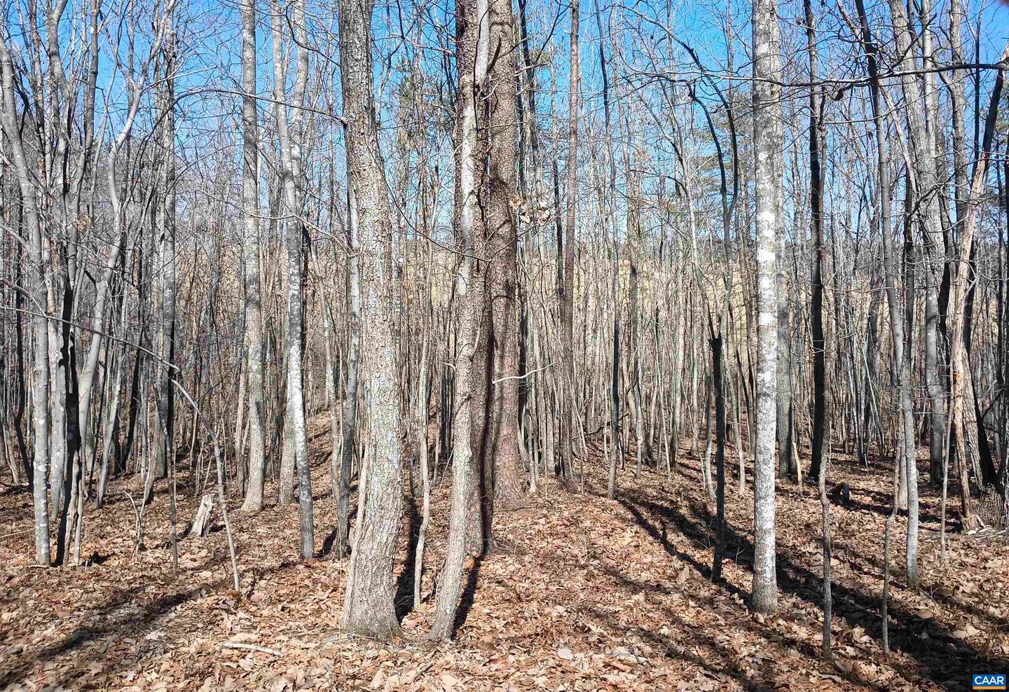 3901 MIDLAND RD, WINGINA, Virginia 24599, 2 Bedrooms Bedrooms, ,1 BathroomBathrooms,Residential,For sale,3901 MIDLAND RD,673762 MLS # 673762 3901 MIDLAND RD, WINGINA, Virginia 24599, 2 Bedrooms Bedrooms, ,1 BathroomBathrooms,Residential,For sale,3901 MIDLAND RD,673762 MLS # 673762