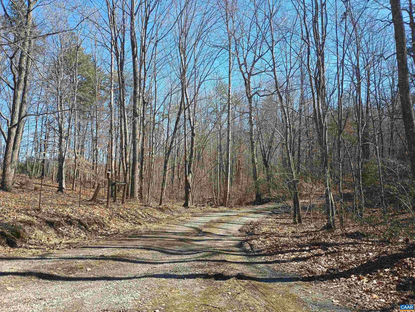 3901 MIDLAND RD, WINGINA, Virginia 24599, 2 Bedrooms Bedrooms, ,1 BathroomBathrooms,Residential,For sale,3901 MIDLAND RD,673762 MLS # 673762 3901 MIDLAND RD, WINGINA, Virginia 24599, 2 Bedrooms Bedrooms, ,1 BathroomBathrooms,Residential,For sale,3901 MIDLAND RD,673762 MLS # 673762